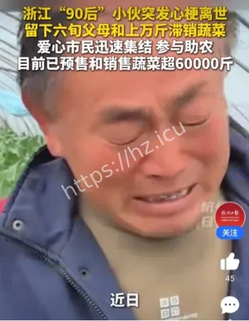 儿子离世万斤蔬菜获救