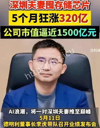 夫妻囤存储芯片